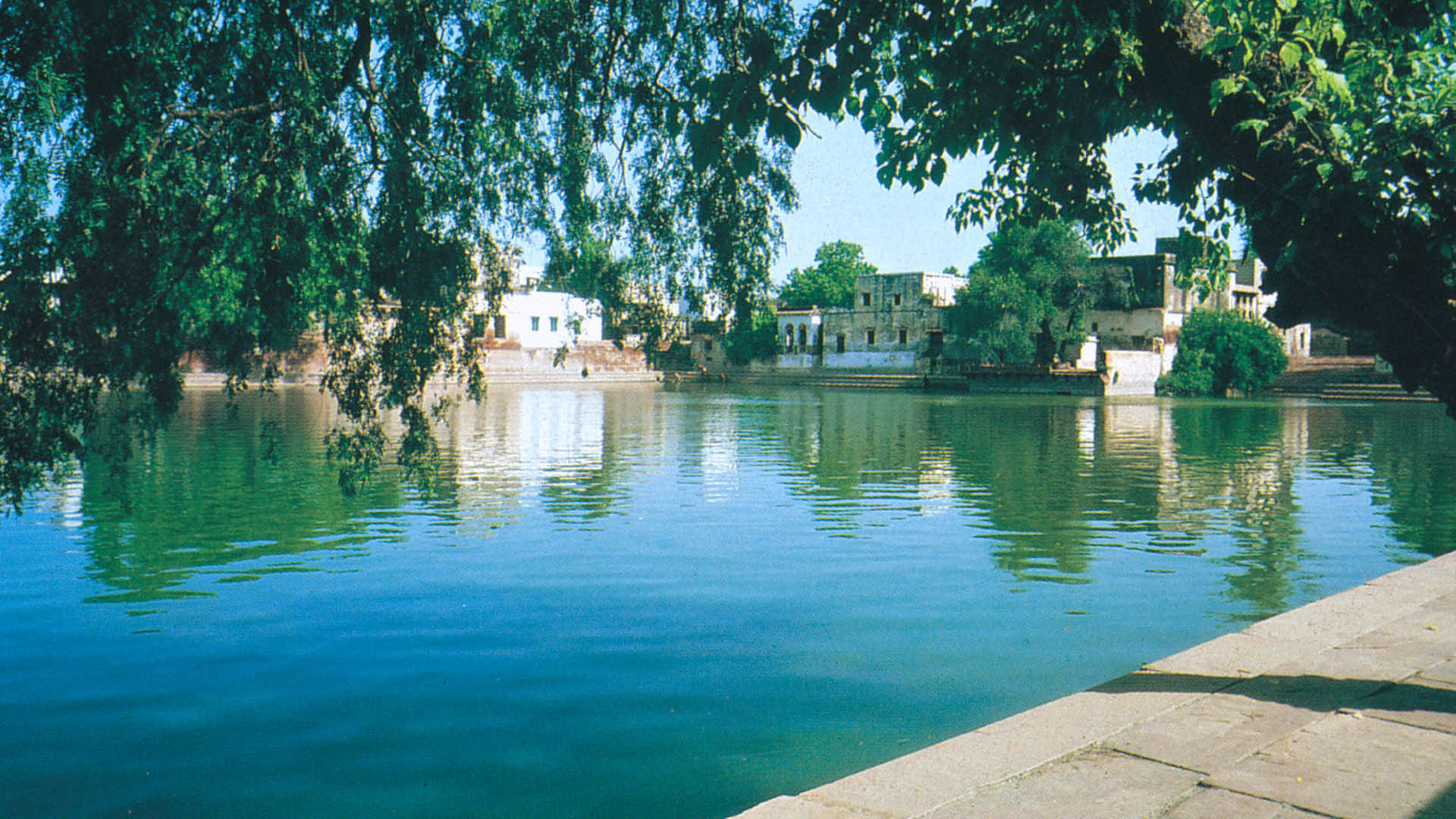 স্লাইড ১৫